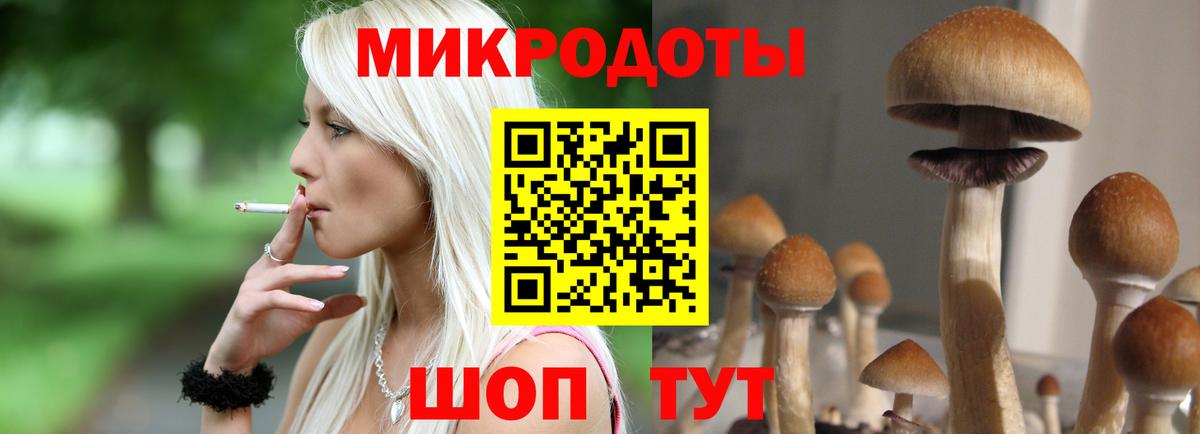 Псилоцибиновые грибы GOLDEN TEACHER  Псилоцибиновые грибы GOLDEN TEACHER  Кызыл  Вход с VPN 